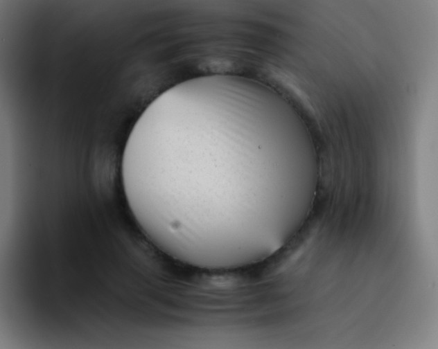 X0000094340645200711162011