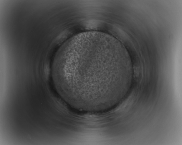 X0000094340648200711162011