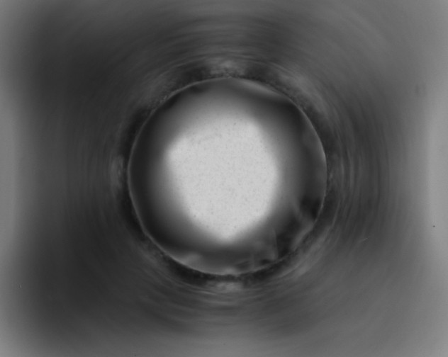 X0000094340649200711162011