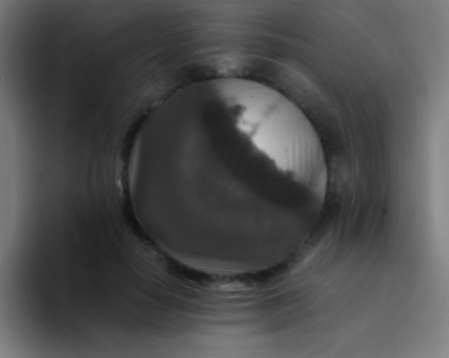 X0000094340650200711162011