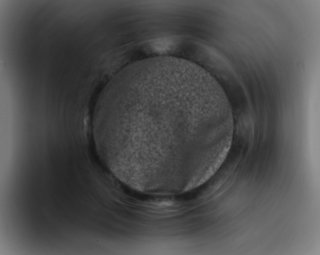 X0000094340651200711162011