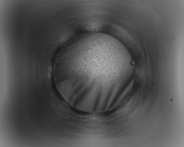 X0000094340652200711162011