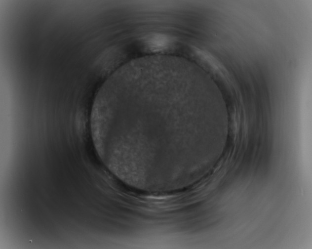 X0000094340653200711162011