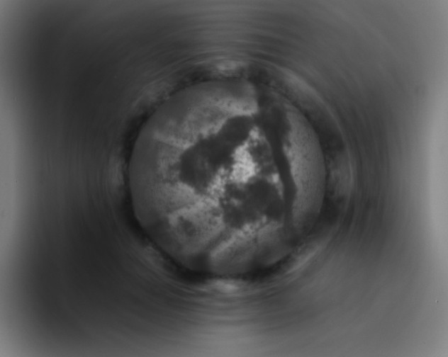 X0000094340654200711162011