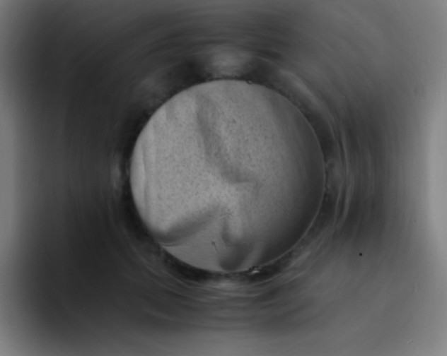 X0000094340655200711162011