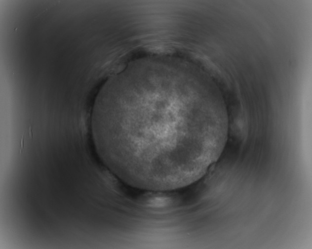 X0000094340658200711162011