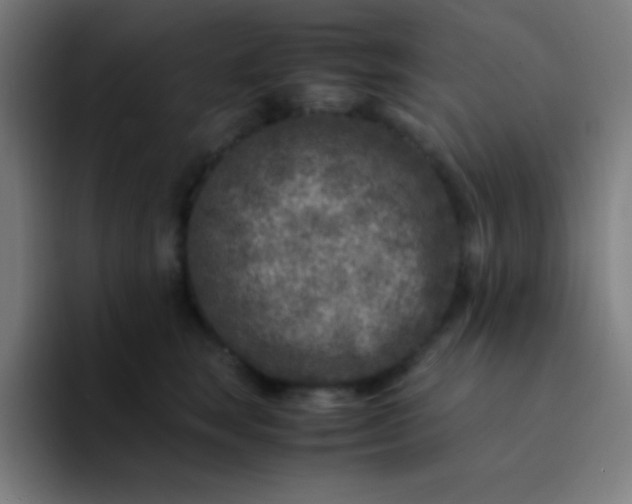 X0000094340663200711162011