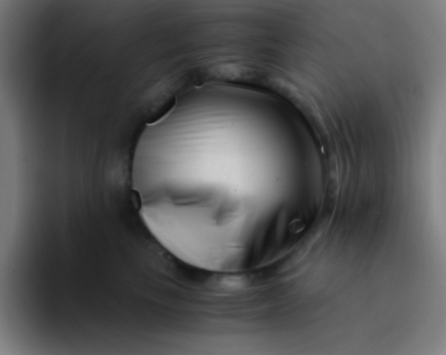 X0000094340665200711162011