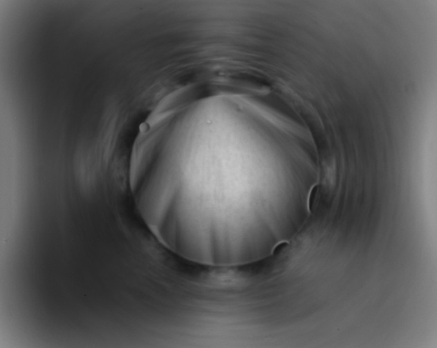 X0000094340666200711162011