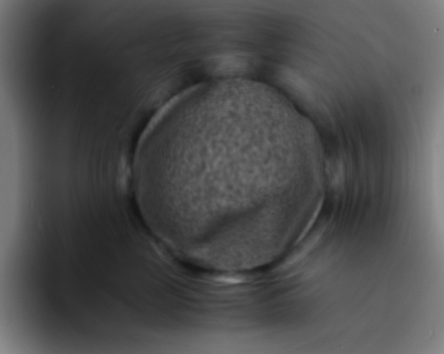 X0000094340669200711162011