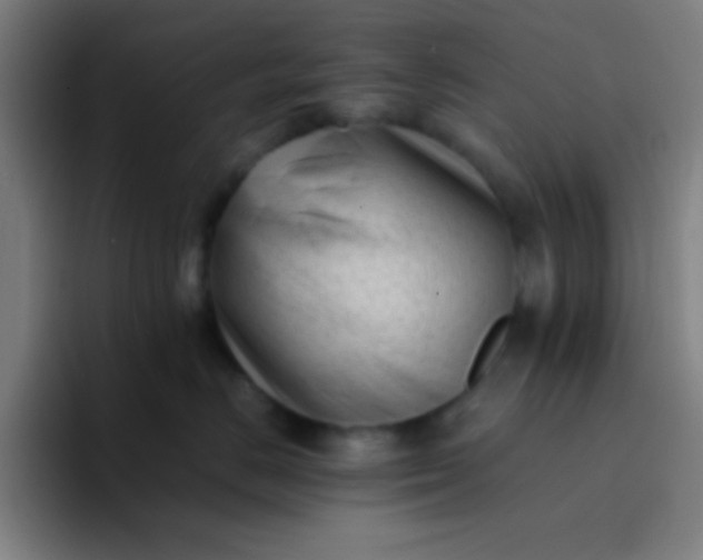 X0000094340670200711162011