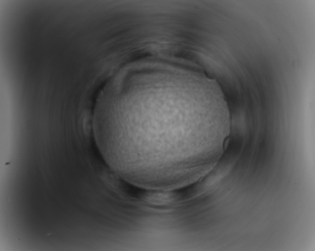 X0000094340671200711162011