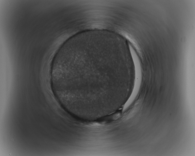 X0000094340673200711162010