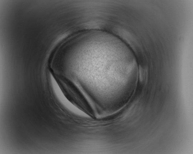 X0000094340675200711162010