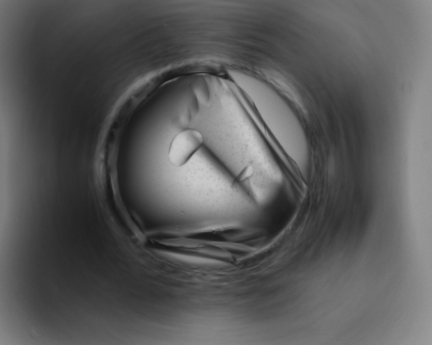 X0000094340676200711162010