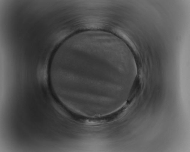 X0000094340677200711162010