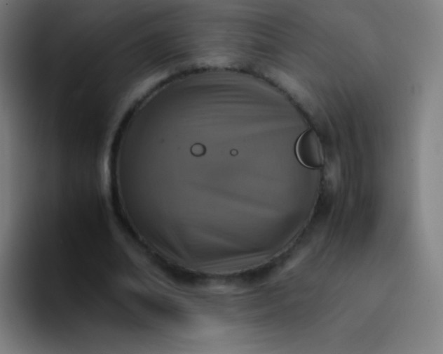 X0000094340678200711162010