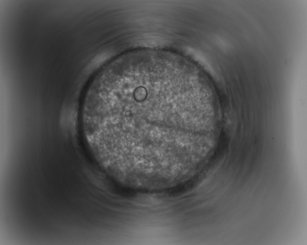 X0000094340679200711162010