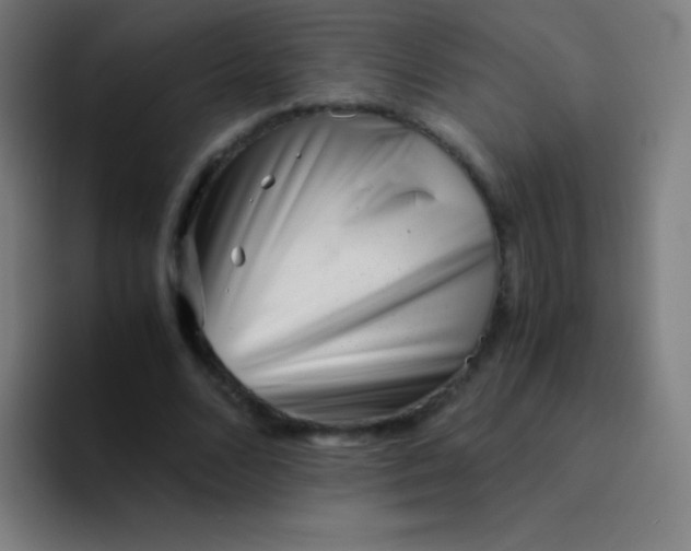 X0000094340680200711162010