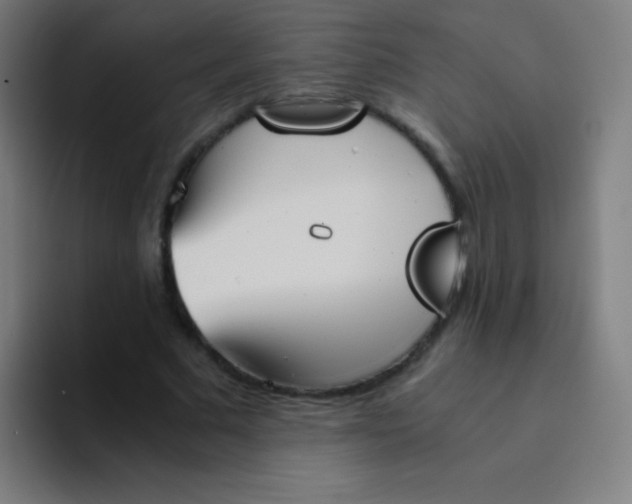 X0000094340681200711162010