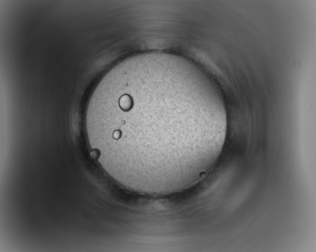 X0000094340683200711162010