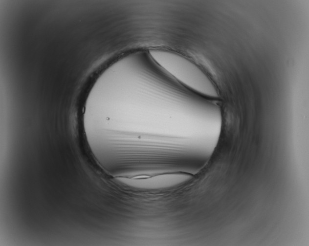 X0000094340684200711162010