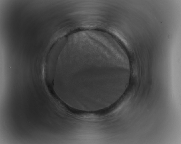 X0000094340685200711162010