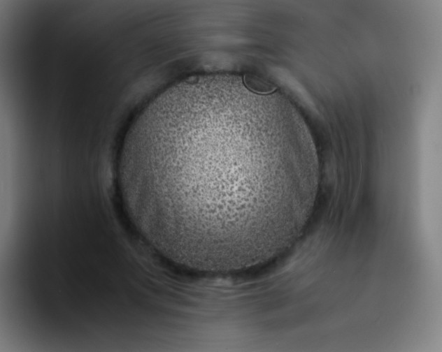 X0000094340687200711162010