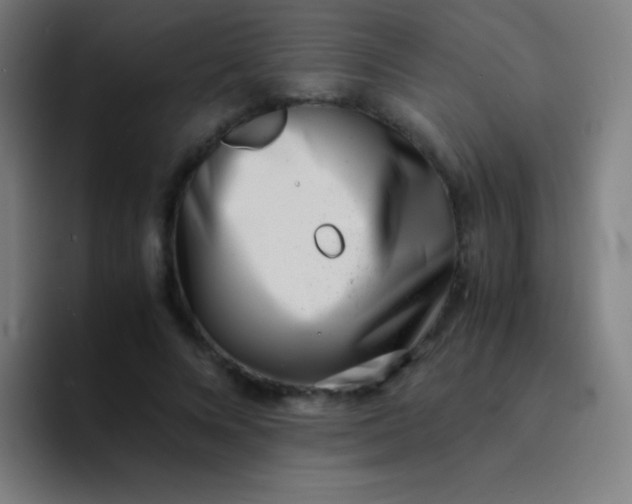 X0000094340688200711162010