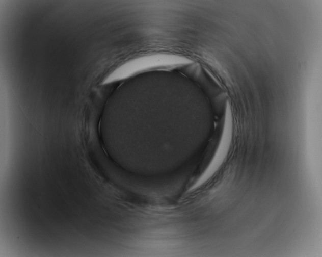 X0000094340689200711162010