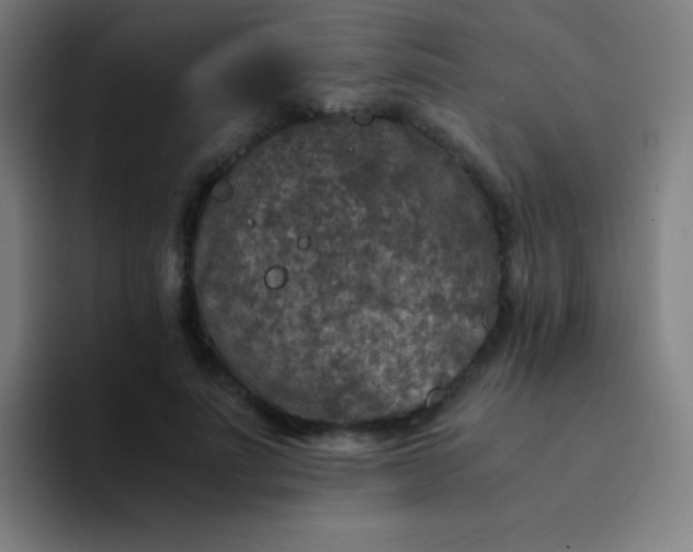 X0000094340691200711162010