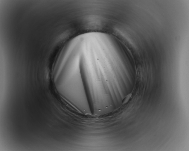 X0000094340692200711162010