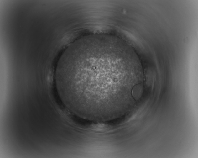 X0000094340695200711162010