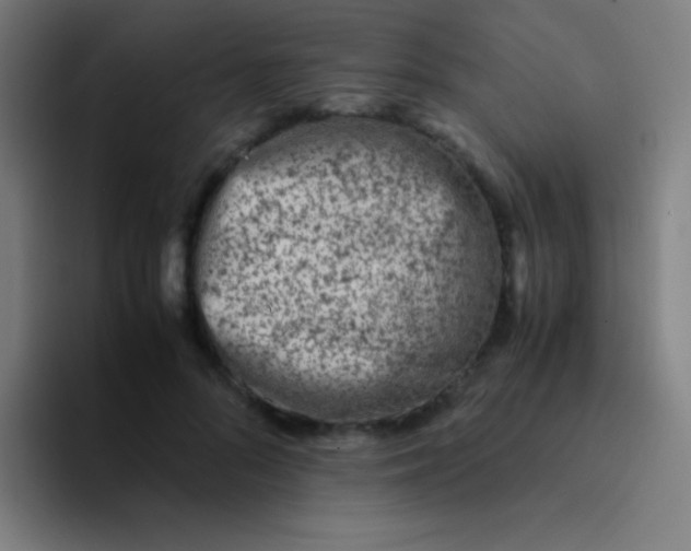 X0000094340696200711162010