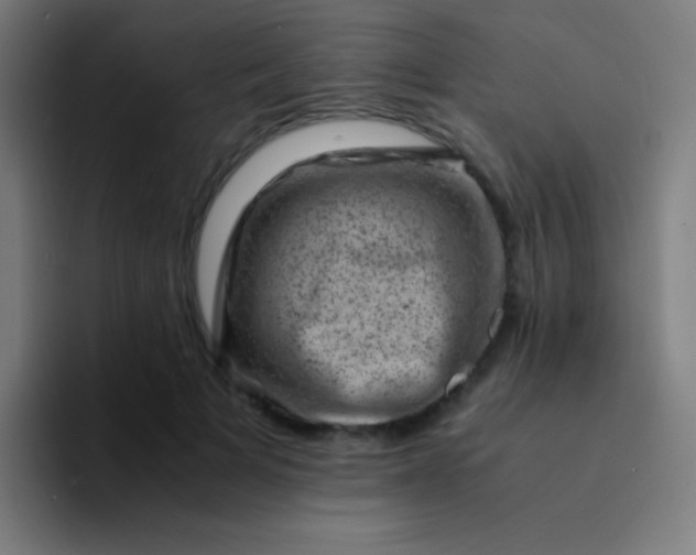 X0000094340697200711162010