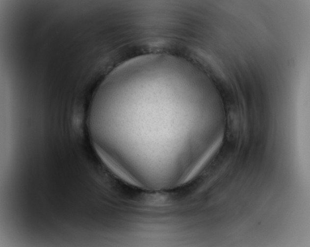 X0000094340698200711162010