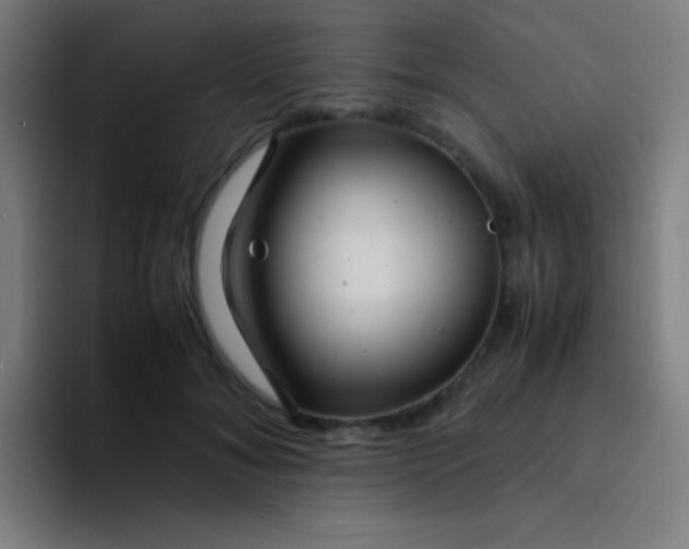 X0000094340700200711162010