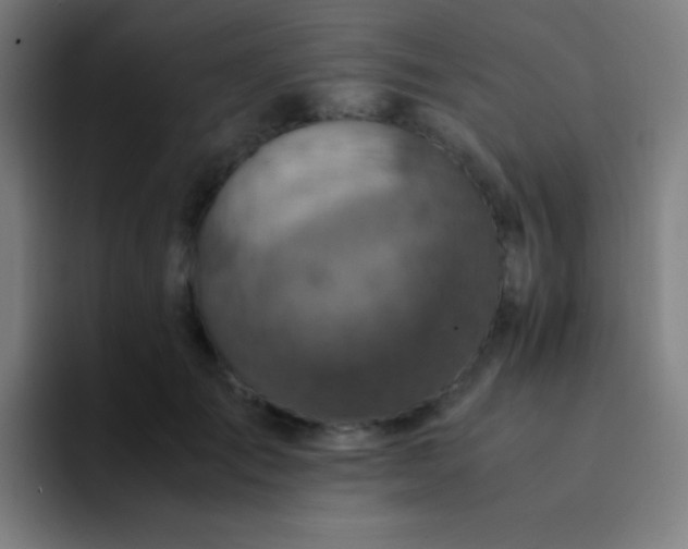 X0000094340701200711162010