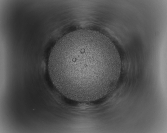 X0000094340703200711162010