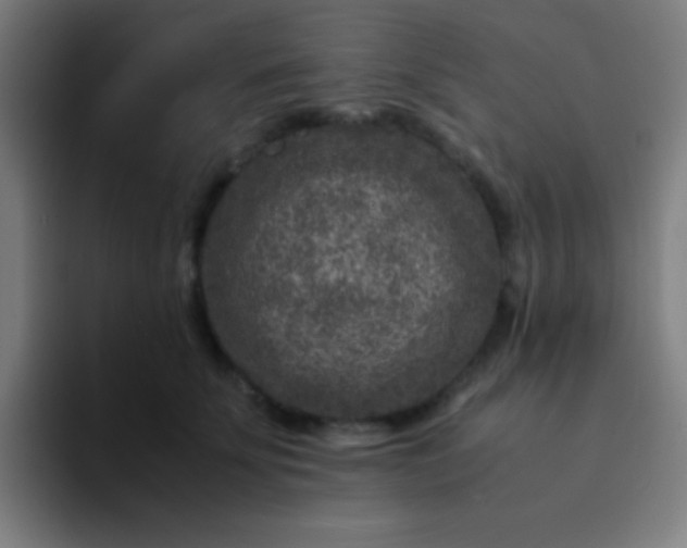 X0000094340707200711162010