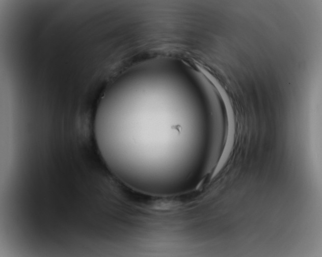 X0000094340708200711162010