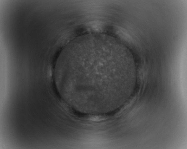 X0000094340709200711162010