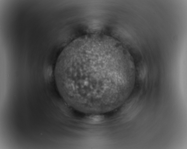 X0000094340711200711162010