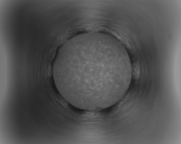 X0000094340713200711162010