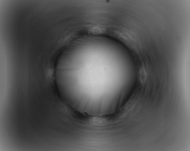 X0000094340714200711162010