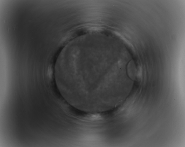 X0000094340715200711162010