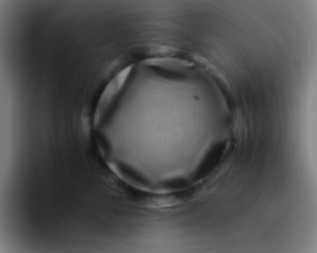 X0000094340716200711162010