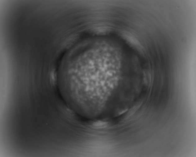 X0000094340718200711162010