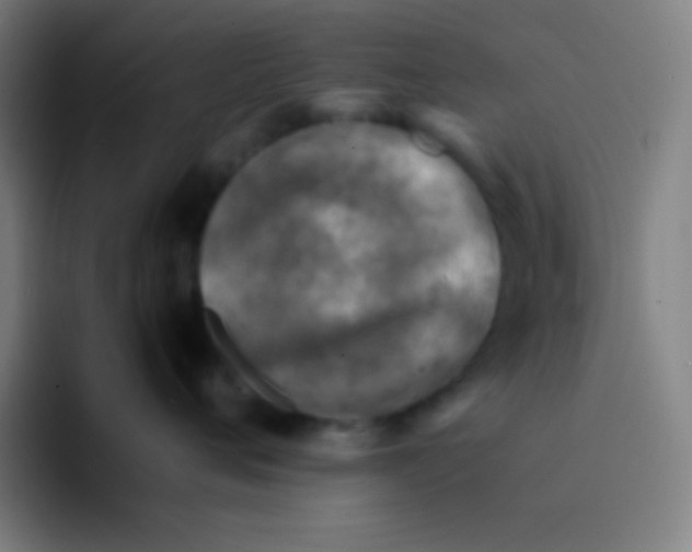 X0000094340720200711162010