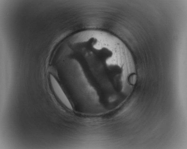 X0000094340721200711162009